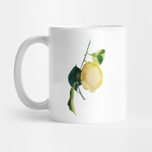 Branch of lemons with leaves Mug